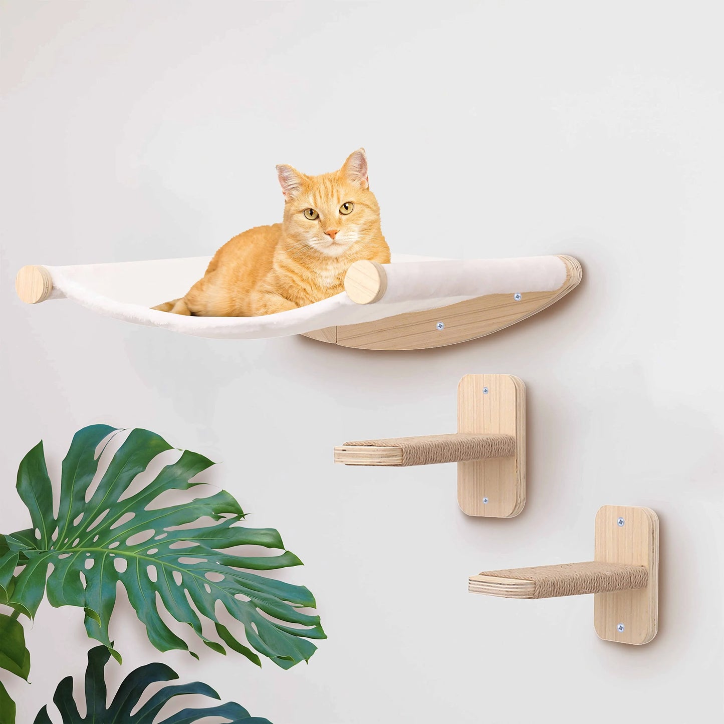 Wall Mounted Cat Climbing and Resting Systems