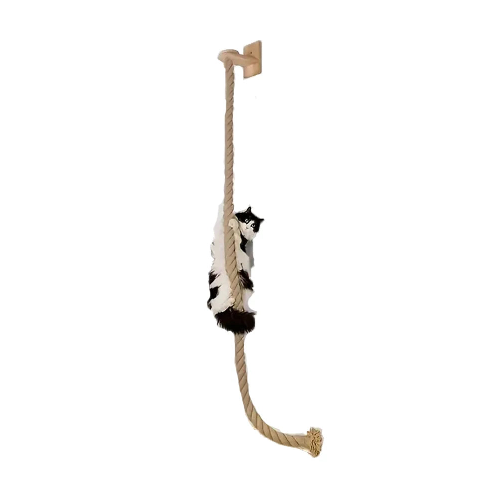 Wall Mounted Cat Climbing and Resting Systems