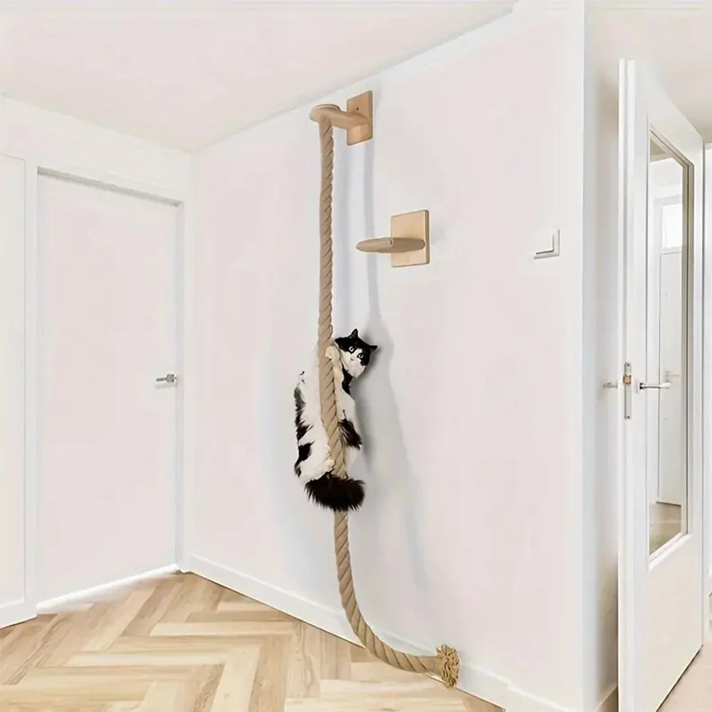 Wall Mounted Cat Climbing and Resting Systems