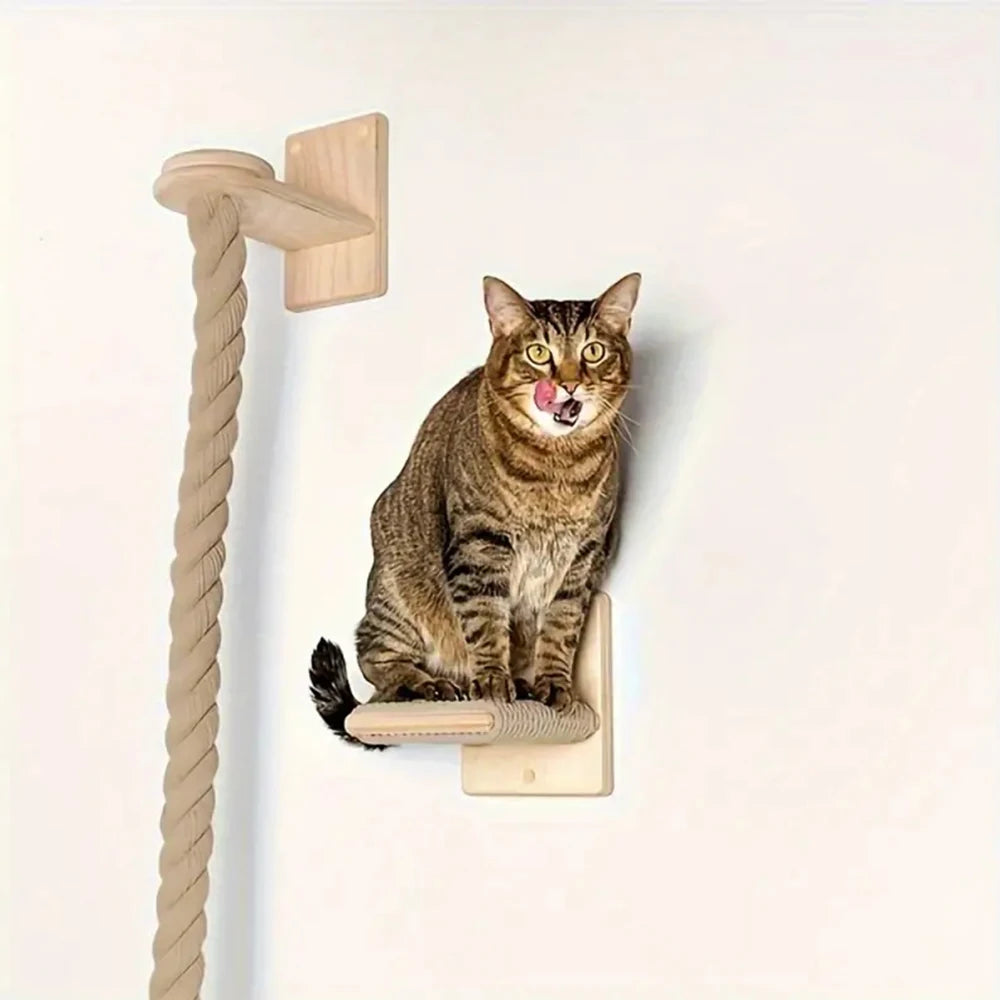 Wall Mounted Cat Climbing and Resting Systems