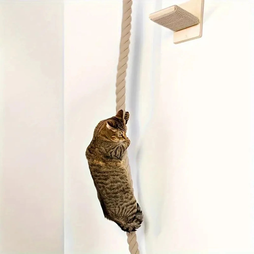 Wall Mounted Cat Climbing and Resting Systems