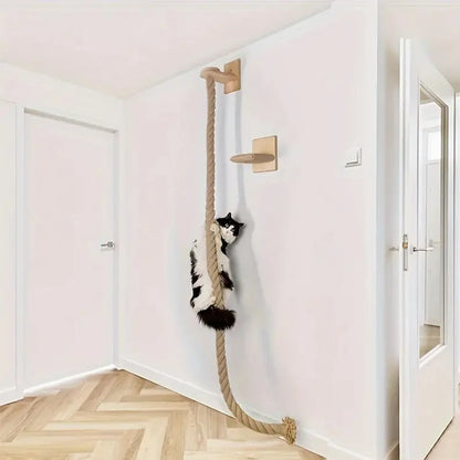 Wall Mounted Cat Climbing and Resting Systems