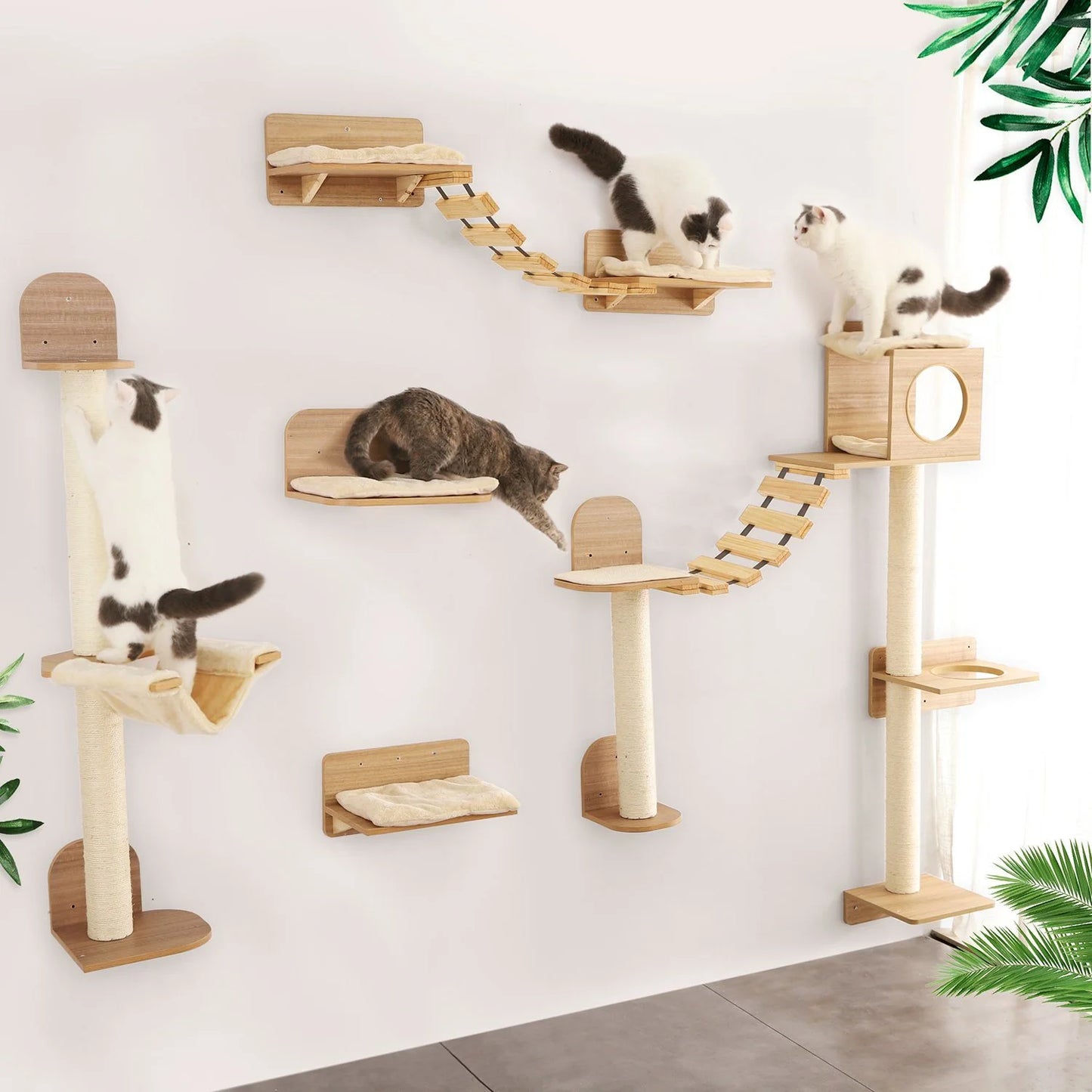 Wall Mounted Cat Climbing and Resting Systems